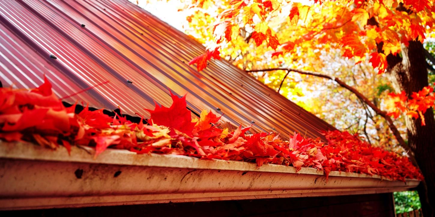 old gutters damaging home